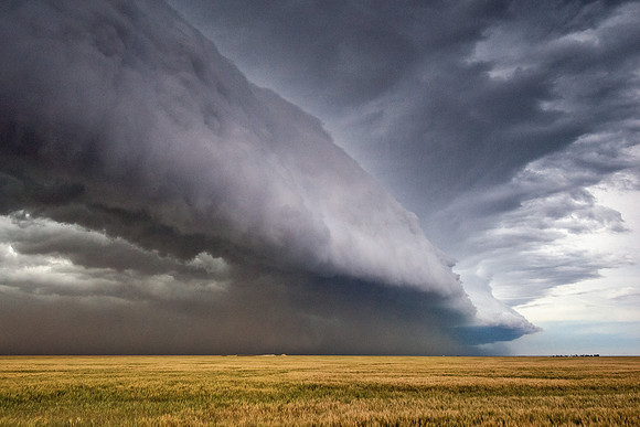 Shelf Cloud