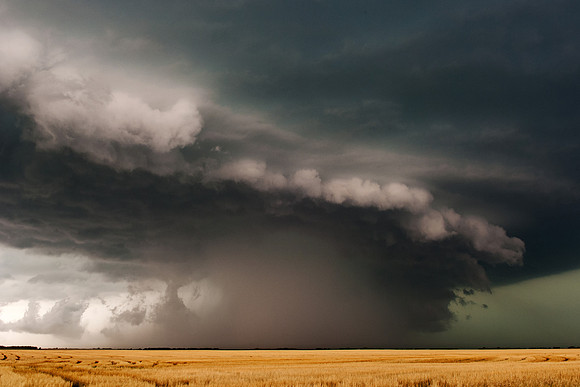 Derecho