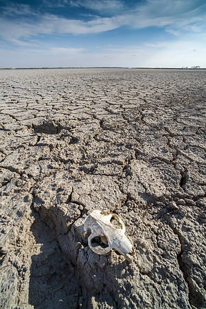Record Drought in United States