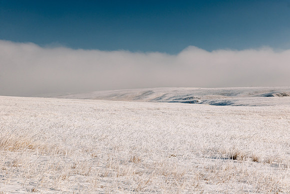 Hoar Frost Fog Over Rural Landscape