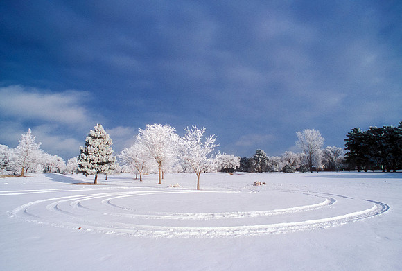 Winter Wonderland of Snow and Frost