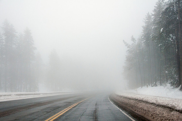 Driving Into Fog During Winter