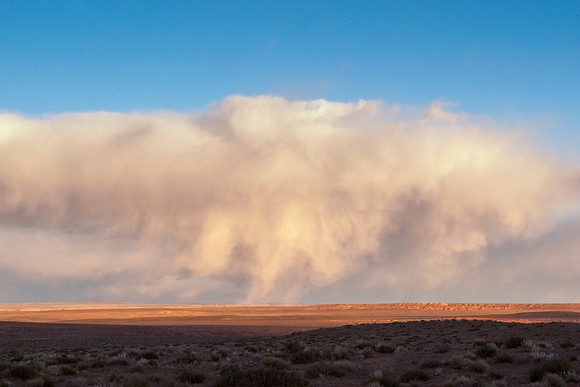 Virga