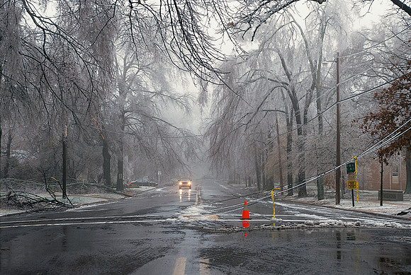 Ice Storm Aftermath
