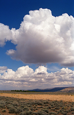 Cumulus Clouds