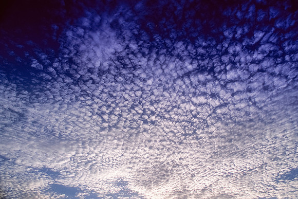 Cirrocumulus Clouds
