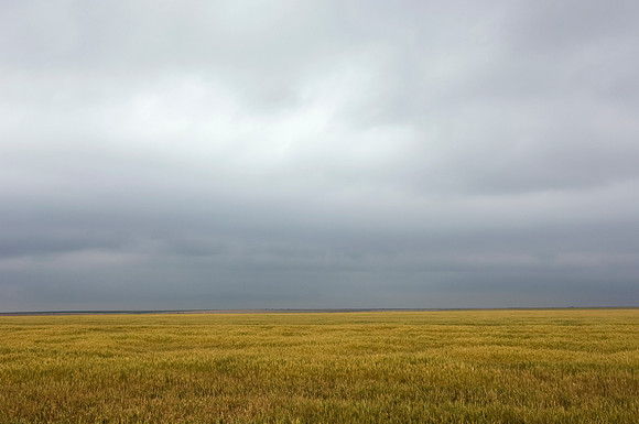 Stratus Clouds