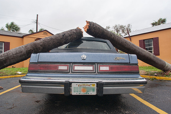 Hurricane Frances Blows Palm Tree Onto Car