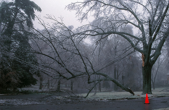 Broken Tree Limb On Power Lines During Ice Storm