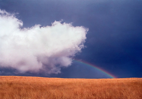 Cumulus Cloud Low to Ground