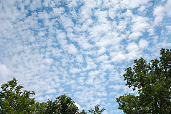 Cirrocumulus Clouds