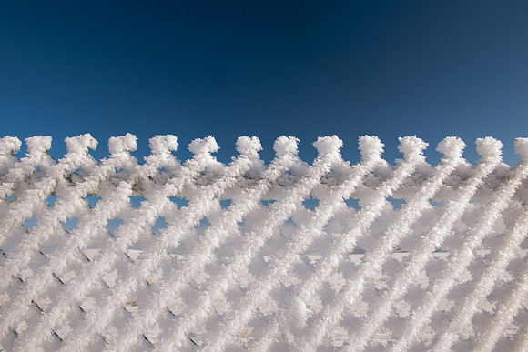 Hurricane Fence Covered With Hoar Frost