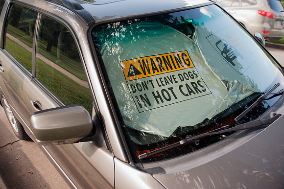 Warning sign: Don't leave dogs in hot cars
