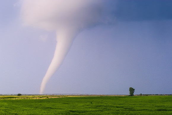 Elephant Trunk Tornado Over Rural Field