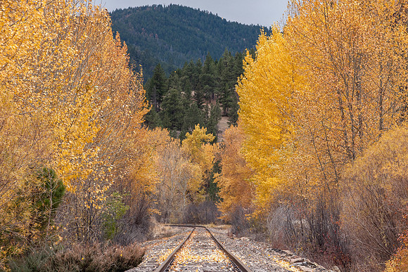 Railroad Tracks, Wolf Creek, Montana