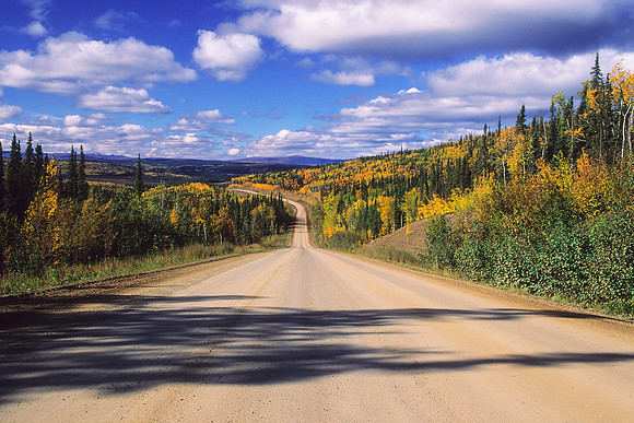 Uninhabited Gravel Road Surrounded By Colorful Foliage