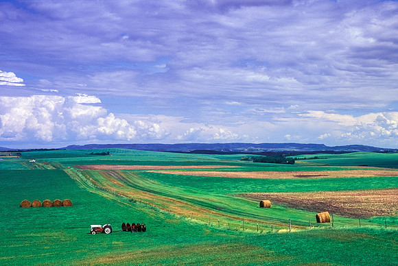 Beautiful Farming Landscape