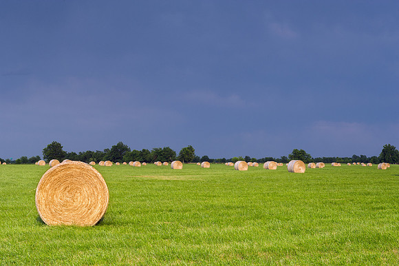 Hay Bales in Field With Stormy Sky